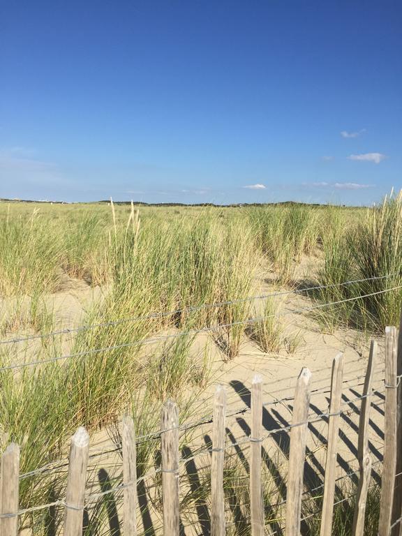 Haags Duinhuis - Familyfriendly Holidayhome Buitenkant foto